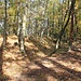 Hradiště Okrouhlík, Wall