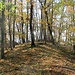 Hradiště Okrouhlík, Wall