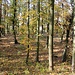 Hradiště Okrouhlík, Innenraum