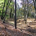 Hradiště Okrouhlík, Nebenanlage, evtl. einstiges Wasserbecken