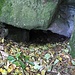 Höhle: Na ja