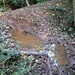 Wildsuhle