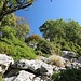 Karstgelände