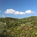 im Delphigebirge