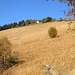 versante sud del Bolettone