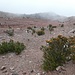 nach der Weiterfahrt zum Refugio Hermanos Carrel beginnt die Bergwanderung durch eher kahle Hochflächen ...