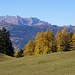 Blick über Schins zum Piz Fess