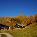 Alp da Traun
