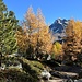 Auf dem Wanderweg zum Lagh da Val Viola