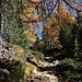 Herrliche Herbststimmung auf dem Weg zum Lagh da Saoseo