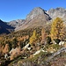 Herbst im Val da Camp