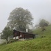mystisch - geht's bei P. 1529 hoch