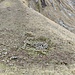 Die Ruine