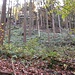 Der Birkelfelsen oder Schützenfelsen wird oberhalb des Weges sichtbar.