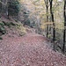 Einen großen Teil der Strecke zwischen den Felsen ging ich auf solchen breiten, etwas ereignisarmen Wegen. Ein eher meditatives Wandern, und eine gute Gelegenheit, über dies und das nachzudenken - zum Beispiel über nächstes Jahr geplante Bergbesteigungen in richtigen Bergen :-)