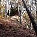 Ein namenloser Felsen, der in meiner Karte eingezeichnet war, zeigte sich als ein kleines, stark bewachsenes Felsentürmchen. Der Boden, auf dem das Türmchen steht, ist selbst auch ein Felsen, rechts erkennt man das an der Flanke freiliegende Gestein.
