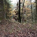Der nächste Felsen, der Käskammerfelsen, ist vom Weg aus sichtbar, aber man kommt nur weglos näher heran.
