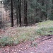 Der nächste Felsen, der Zwicksteinfelsen, ist zwar vom Weg aus nicht sichtbar, aber laut Karte kommt man in Richtung dieser geradeaus sichtbaren Rückegasse dorthin.