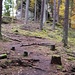 Der Dretschbergfelsen kommt in Sicht. Das Foto ist etwas unscharf, denn ich hatte heute meine sonst genutzte Kamera vergessen und ersatzweise mit dem Smartphone fotografiert, und das Smartphone hat leider nicht den guten optischen Bildstabilisator der Kamera.