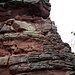 Etwas näher dran am Napoleonfelsen. Auch hier der unvermeidliche Felsen-Überhang, der allen Kletterversuchen ein Ende bereitet und nur Profis durchlässt. 
