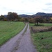 Auf dem Wiesengelände oberhalb von Bruchweiler. Am Horizont die östlich des Wieslautertals liegenden Berge. Die von mir heute besuchten Berge liegen im Rücken des Fotografen. 