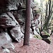 Der Hauptturm des Zwicksteinfelsens ragt steil und hoch empor. Hier gehe ich weglos, aber auf gutem Waldboden dicht an ihm entlang.