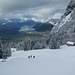 Kontraste: Winter zwischen Langried und Holz - grüner Talkessel Schwyz