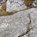 Questi fori nella roccia dimostrano che il sentiero non è solo una traccia di animali 