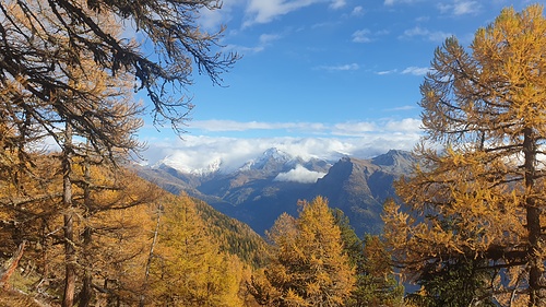 In der Querung nach Brischeru