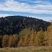 Vom Sulberg geht es noch auf den benachbarten Gschieskogel.