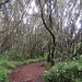 Start zum Kilimanjaro