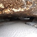 Die auch als "Friensteinhöhle" bezeichnete Idagrotte ist eine große Kluft- und Schichtfugenhöhle.