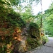 Hier überquerte ich die Kirnitzsch, ließ den Flößersteig rechts liegen, und wanderte dort auf dem breiten Weg einige Meter in den Wald hinauf. Ca. 60, 70 Meter weiter führt dieser Pfad scharf rechts hinauf auf den Bergrücken. 