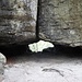 Danach umwandert man ein weit auskragendes Felsenriff. Dort befindet sich ein "Kleiner Kuhstall", eine neun Meter lange, niedrige Durchgangshöhle. 