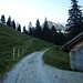 An der kleinen Hütte 555a auf etwa 1380 Metern Höhe. Hier verließ ich den Fahrweg und wanderte halblinks einen alten Weg hinauf zur Alp Grencheberg. Der Weg ist nur im unteren Teil gut zu sehen.