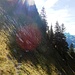 Auf dem schmalen Steig durch die Nordwestflanke des Gartens.