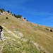 An der Alp bei Pt. 1727 folgt man dem Pfad hinter der Hütte noch ein Stück schräg rechts hinauf. Hier lila verdeutlicht. Der Pfad setzt sich geradeaus fort (grün), man zweigt aber rechts ab, hinüber zu einer Baumgruppe.