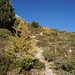 Hier ist der Weg nach der Starlexhütte etwas deutlicher.