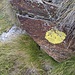 Il segno di vernice gialla che indica l'inizio del percorso per chi proviene da Crestarossa