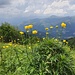 letzte Blumen zum Abschied