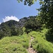 nun beginnt der Grenzpfad 