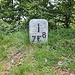 noch ein Grenzstein einsam im Gebüsch