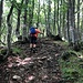 steiler Wurzelpfad zur Grenze