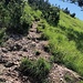 Zur Cima dell'Oress