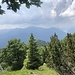 Juni im Tessin