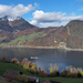 Ein Nauen kreuzt im Alpnachersee