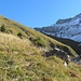 Querung rüber ins Hochalpkar
