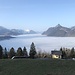 in der Nähe der ehemaligen Mittelstation entkommen wir dem Nebel 