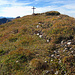 Top of Runder Kopf
