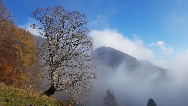 Blick zur Hasenmatt rüber.